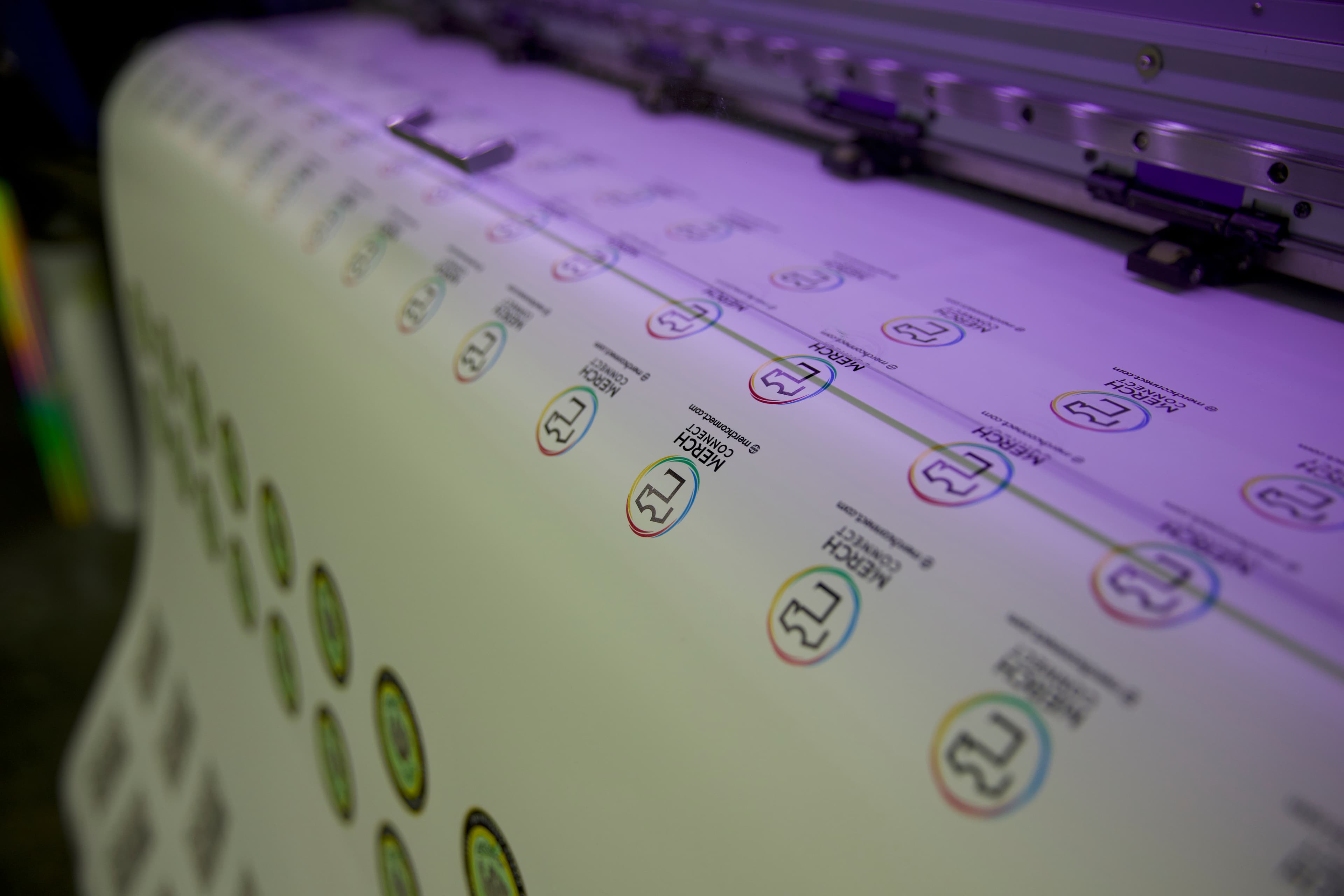 Screen printing process