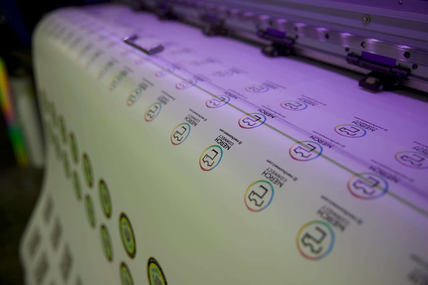 Screen printing process